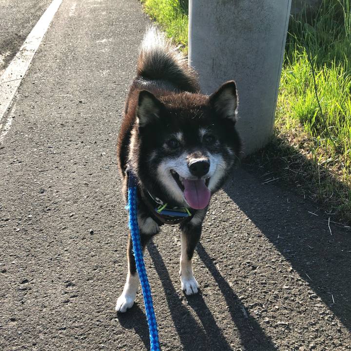 2aba23a0 f787 4ad0 a06e acc5396b1827 1624186402296