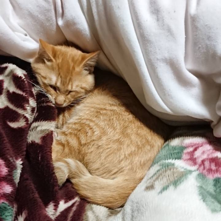 2aba338c 8677 4143 abf3 37cc4d4d8943 1635162208002