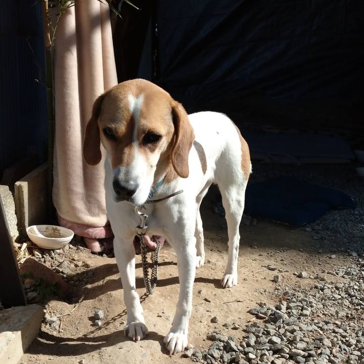 2aba857d 465b 4d58 9e9a 10b3cc41d98d 1614149048434