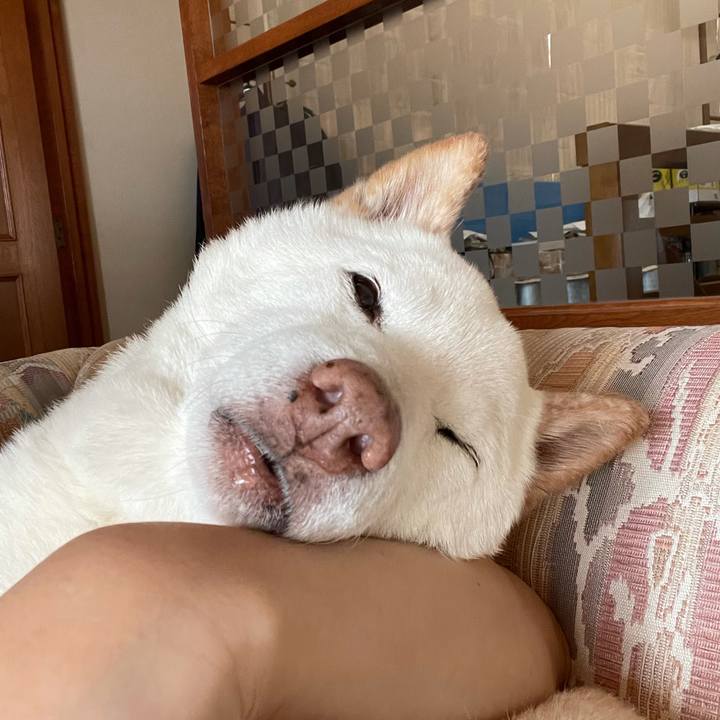 2aba9f0c f7b5 4452 8158 52864e6d90b5 1636439282185