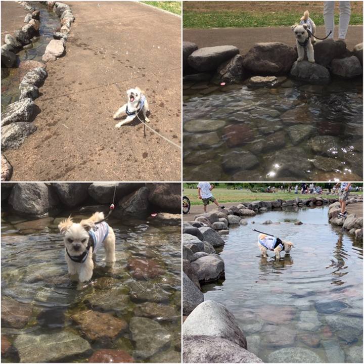 2abaaed3 b7db 4f6e 82f2 8536fe904bc3 1558264686568