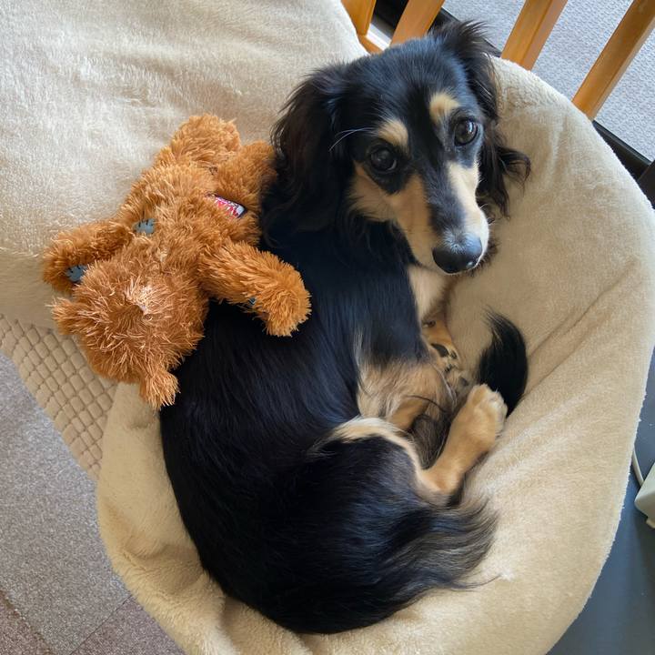 2abadf1f 6fa0 43fb 9f9d b823007c09d6 1714012768539