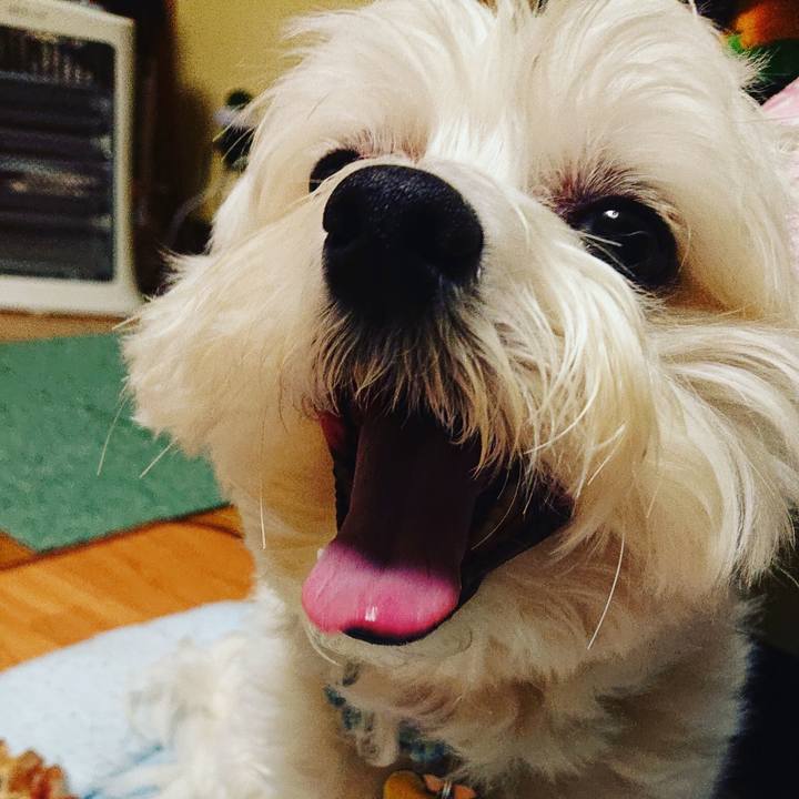 2abadf2a e98a 4834 962f 15eb72d8b108 1556636976553