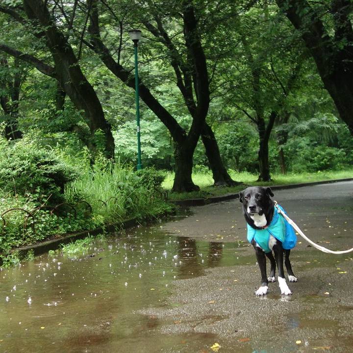 2abae1e6 0e2c 4950 b2dd 005137222f43 1686444008480