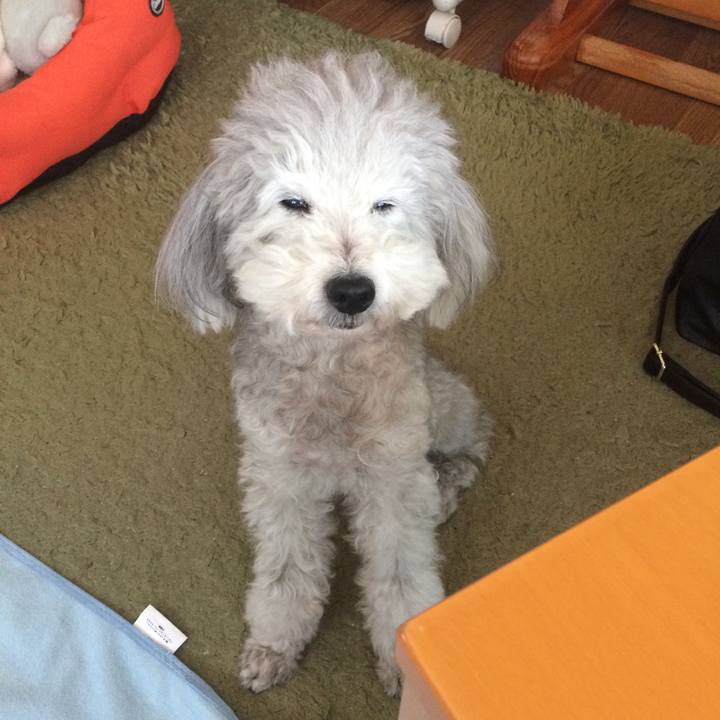 2abae73c 2eab 4039 b353 721ad3ba071a 1511752588143