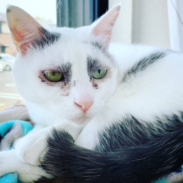 2abaef84 1383 4f45 9775 8dd4498bd2d9 1618023481533