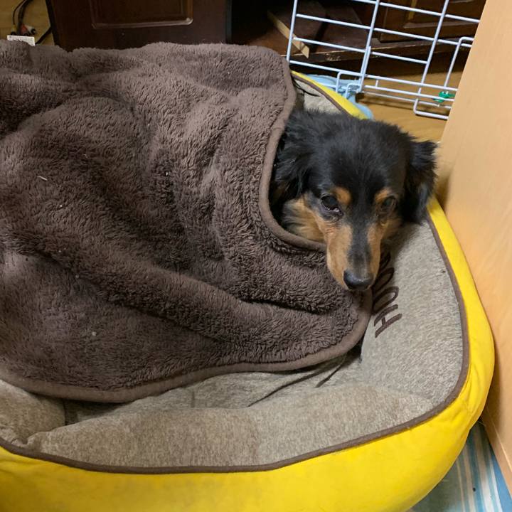 2abaf608 a9d3 4d95 9d2c a14aff23139d 1579530259174