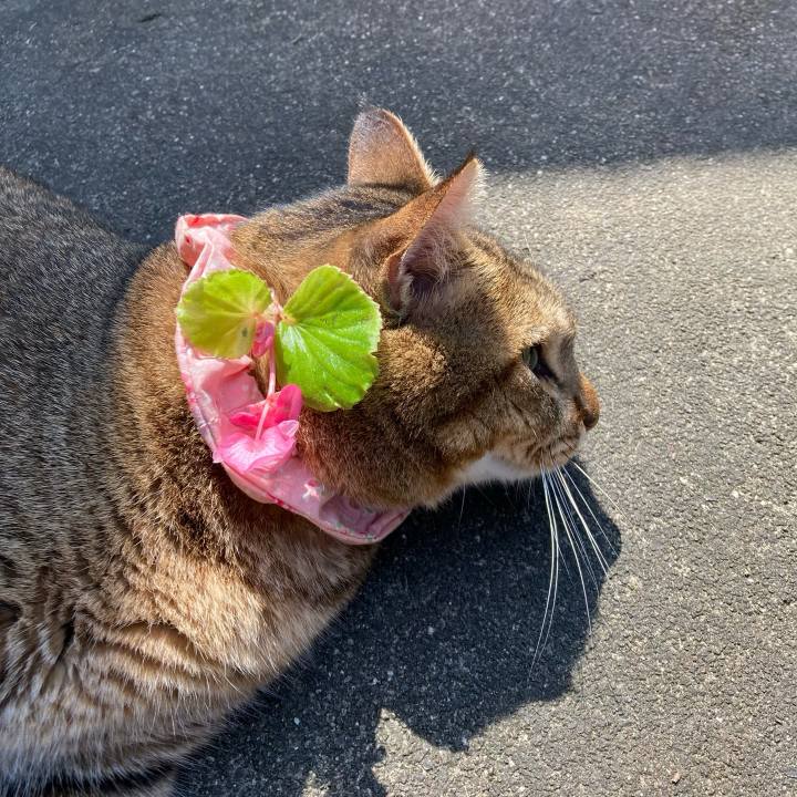 2abafdf0 edb9 4f58 a897 e8392f541793 1664245933060