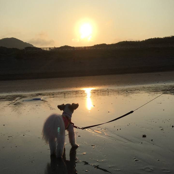 2abb0ea3 70fd 4161 ae48 2e04fc9c3dbb 1533418142549