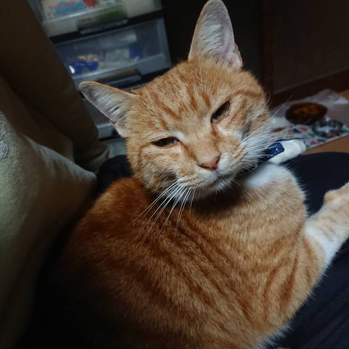 2abb3aa5 0409 4635 8081 c887014d6b7d 1604090699360