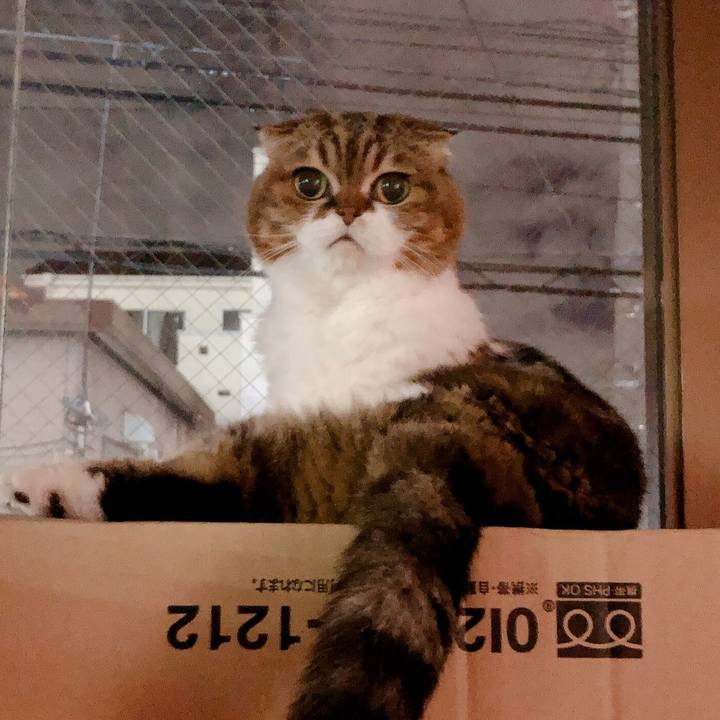 2abb3b90 4722 4de4 8422 13969480eee0 1572003876893