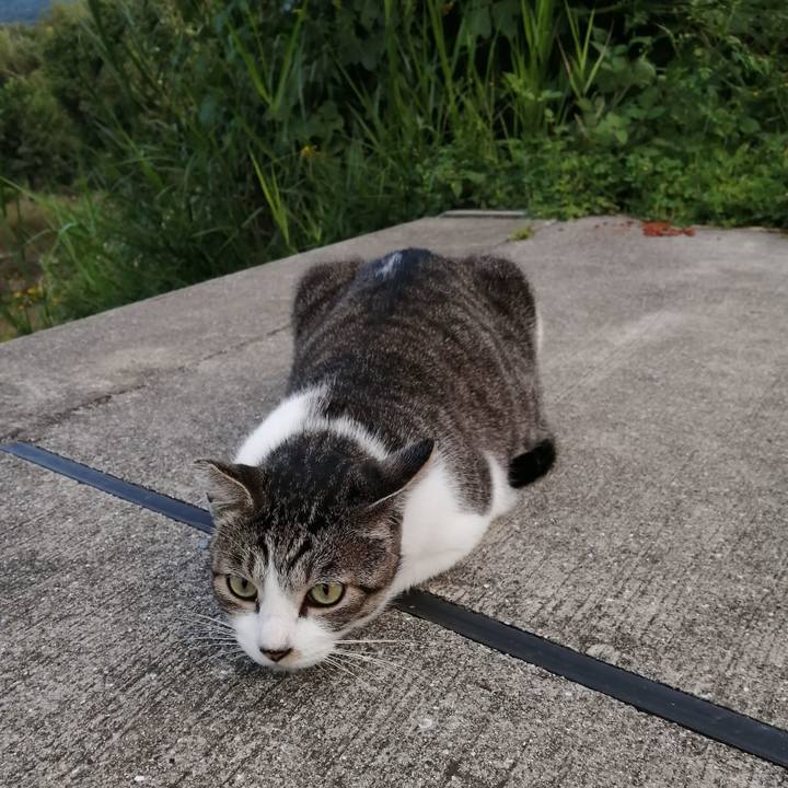 2abb3cbb a22a 463b 8151 8c231659e67e 1571139111354