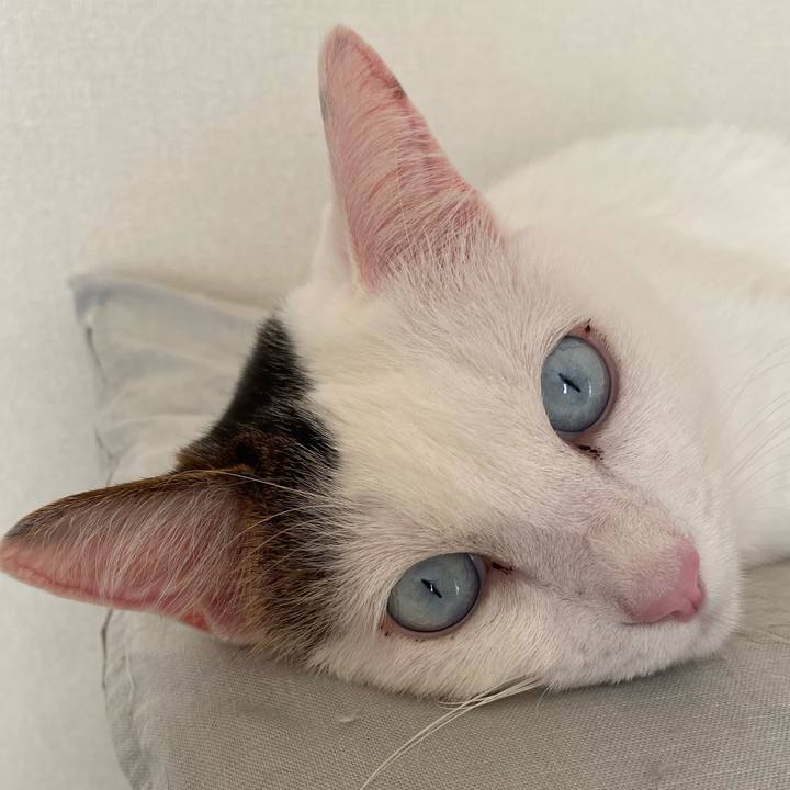 2abb448b 8959 4ec0 87c0 5f4d58a9d676 1613172949759