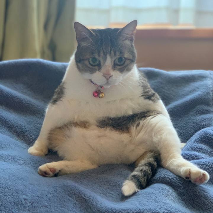 2abb68f2 de1e 4670 a413 4f7d17b9a161 1653699054626