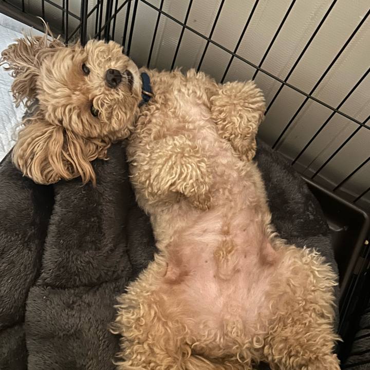 2abb73bd d0ba 43ed 8e58 166003cf9705 1750280749449