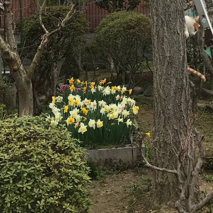 2abba27f 687a 4c5b a58a b6be7298f14f 1523427156418