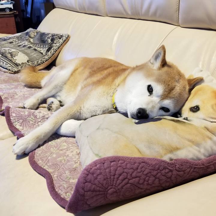 2abbb49e 57c5 4781 8add 24ce40f567b0 1684797036435