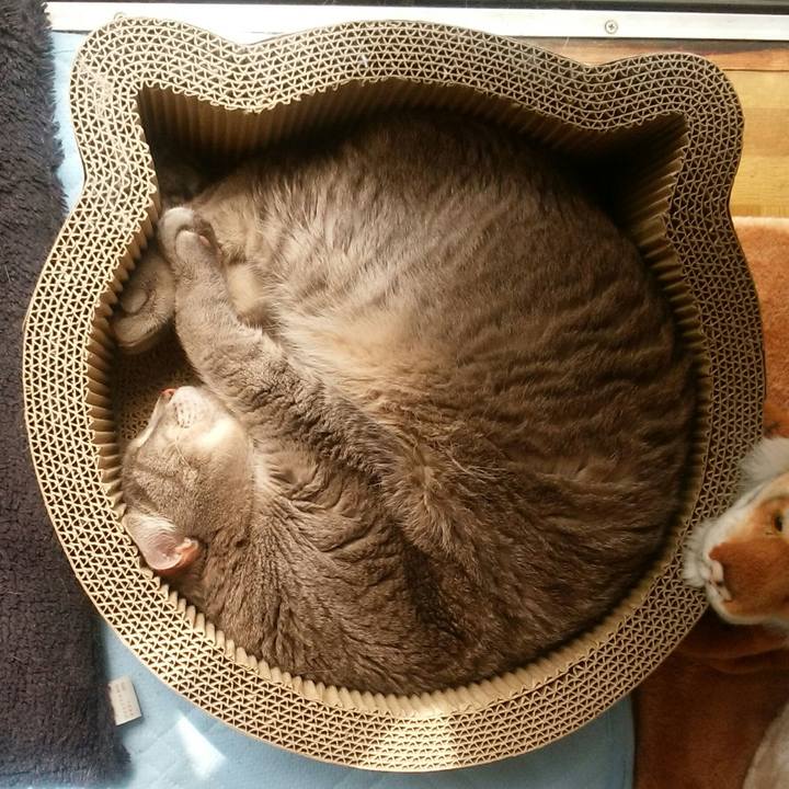 2abbb73f 4ce1 40e8 a96b 84af4c0d6188 1556759353122