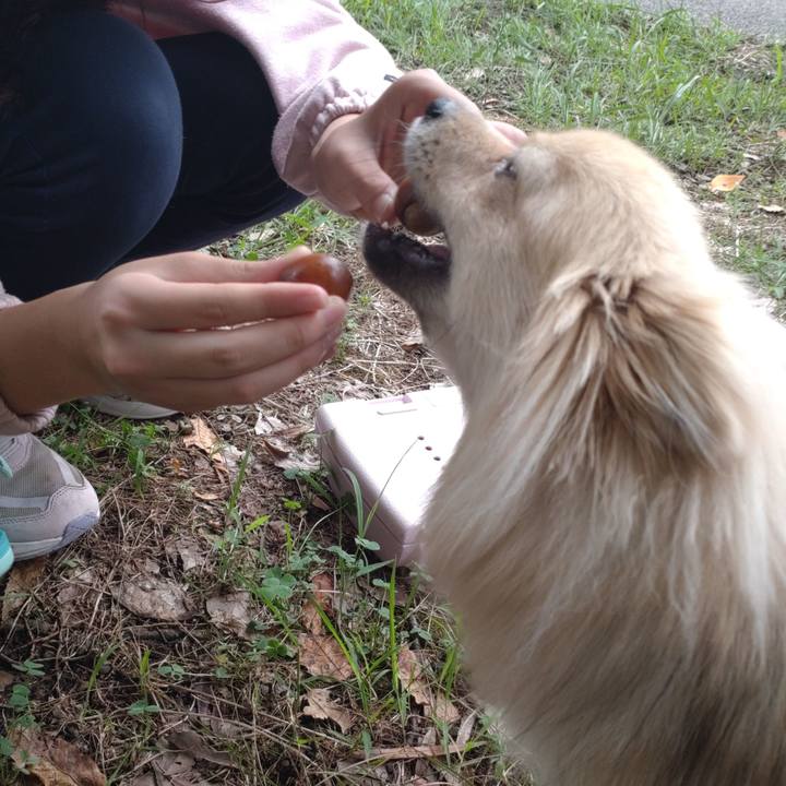 2abbe9eb bf1d 462c b124 02e078f03047 1758332072918