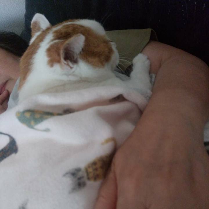 2abbf14f 0064 41b4 82a5 d104eff312ba 1564470675341