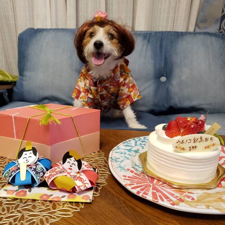 2abc38c5 1d45 481c 9abb 79a85e9e4441 1646306258940