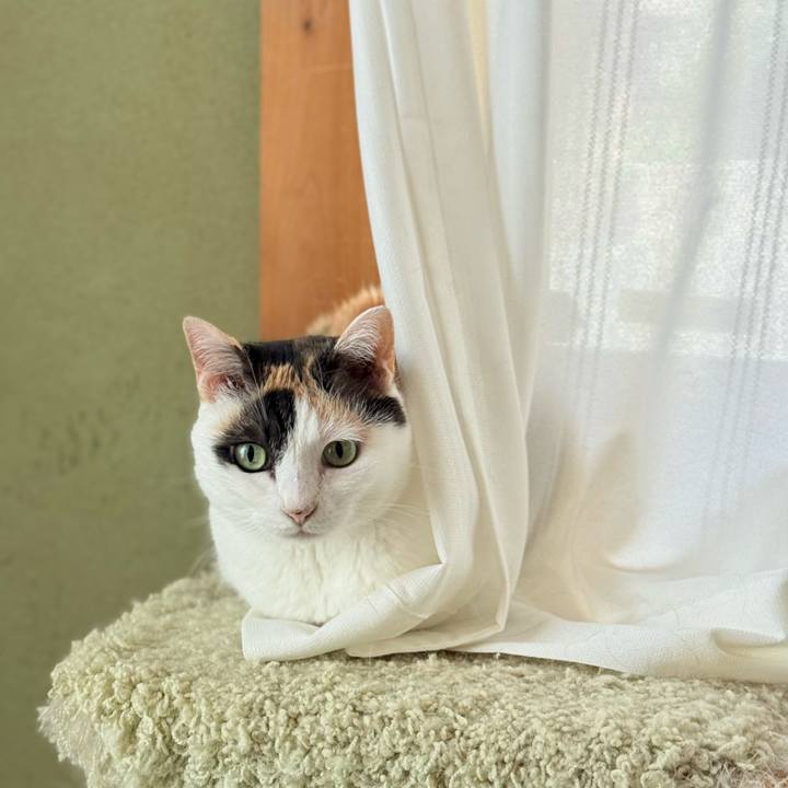 2abc64cb 7ff2 4ad1 84db 928ca6beb4c1 1752026155189