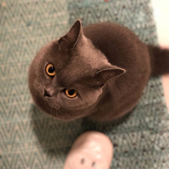 2abcb02d 6e4d 420e ab86 6f2074db9638 1543880133157