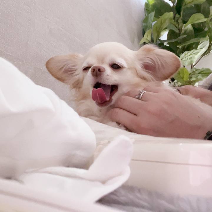 2abcdc5a 7c89 45b8 978e ba66e4a6b963 1743842755378