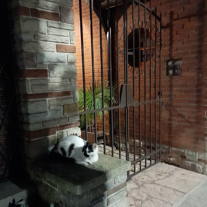 2abcea48 64aa 450c b1d2 2eb5f2d0ba17 1773015643248