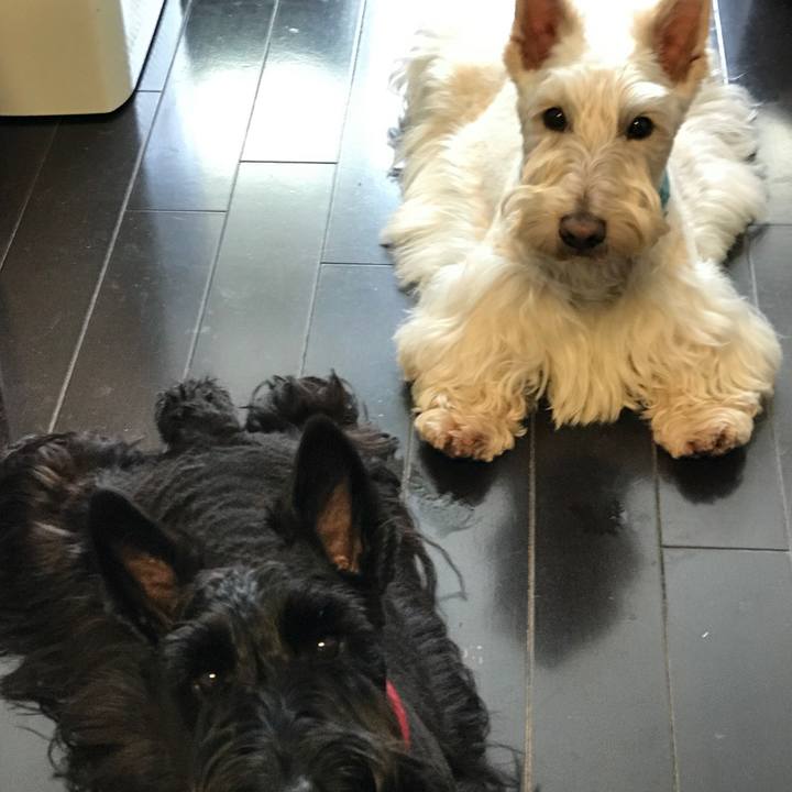 2abd1739 e1ff 418f adb6 8fda6c85e69c 1520314967504