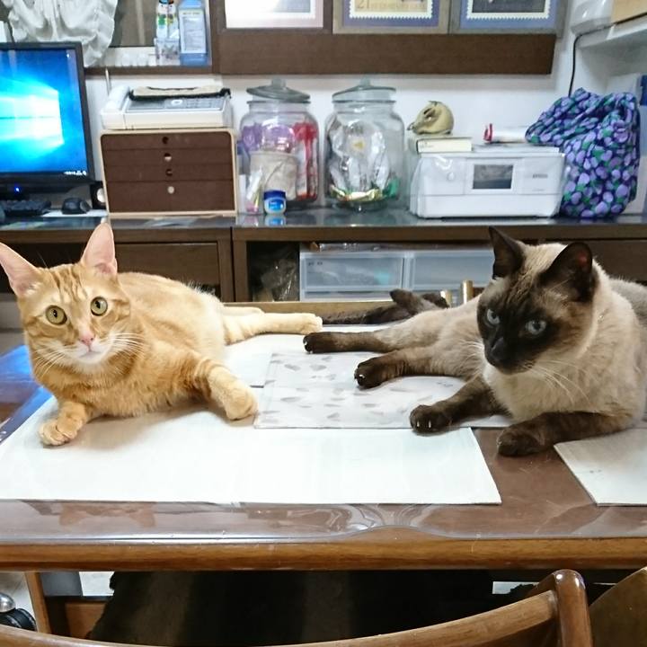 2abd1891 2bfd 4539 8eb1 f79325b94a91 1513348264634