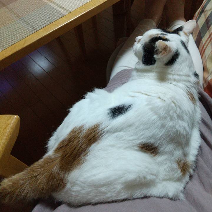 2abd27cf 5a7a 498a 87aa 48299497df3b 1695899329971