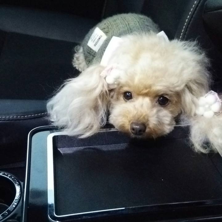 2abd3989 408e 4b51 8999 d3d0058deb55 1546603796426