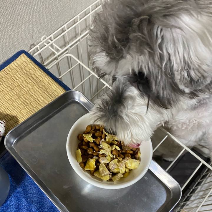 2abd62c9 82f5 4c6a 835b 943dfac055c6 1601474169313