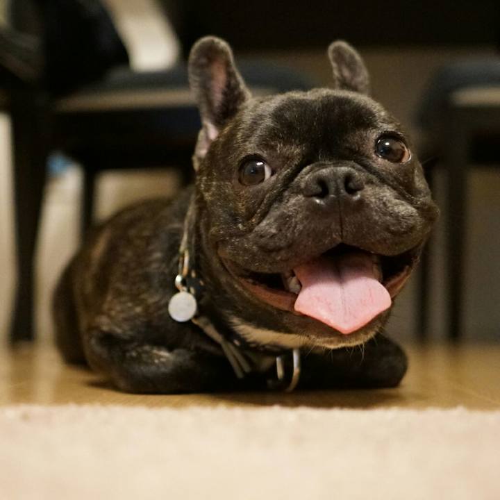 2abda071 e8d8 4010 a716 be7ef2d68bf2 1508675276536