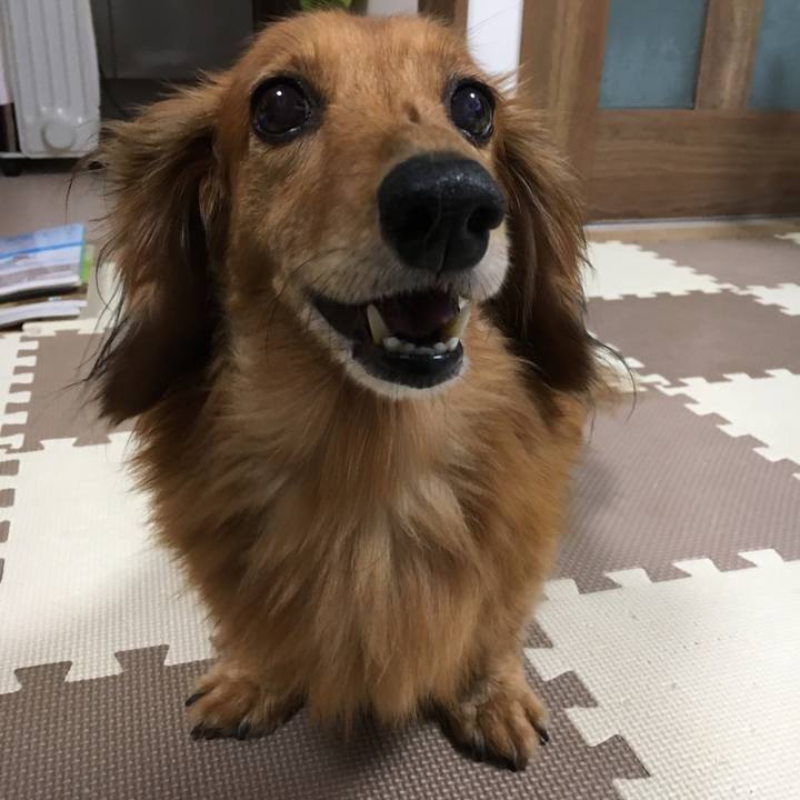 2abdefa6 fc55 4781 8380 ebe4af27296e 1568298548686