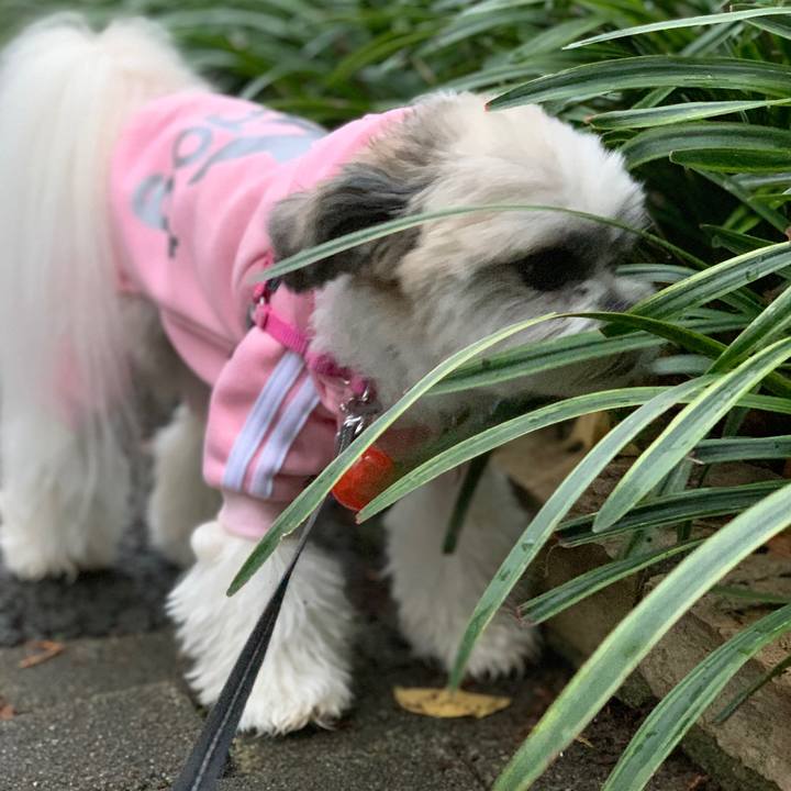 2abe02aa e496 43c5 8bda 921c187796ff 1574849606712