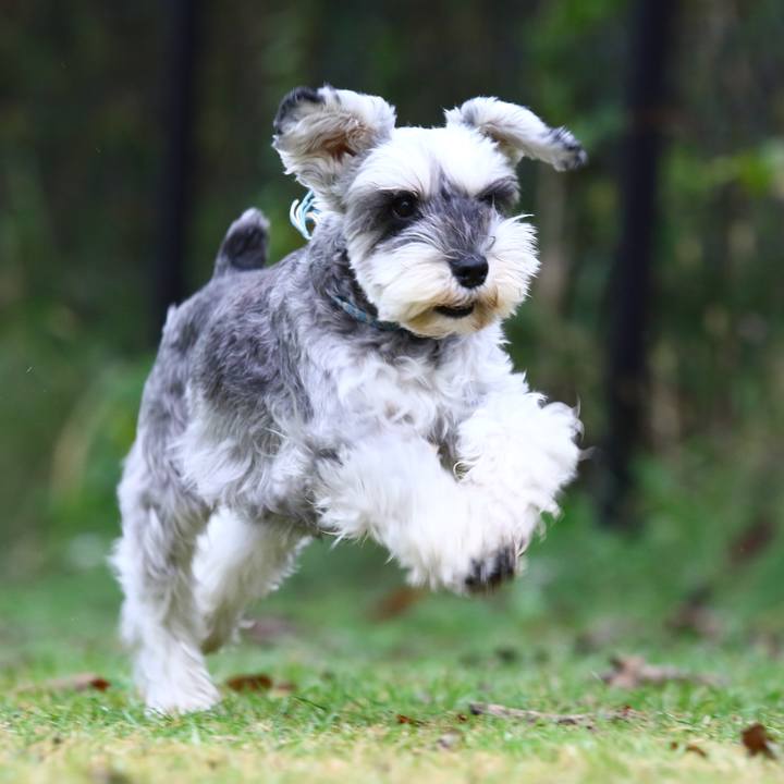 2abe37e1 d216 4ec0 8417 08345053f851 1575380203094