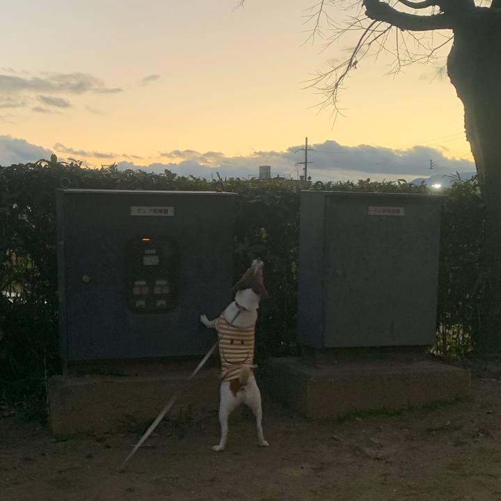 2abe3b04 9b51 40fb 86f0 4547c1775153 1546430736957