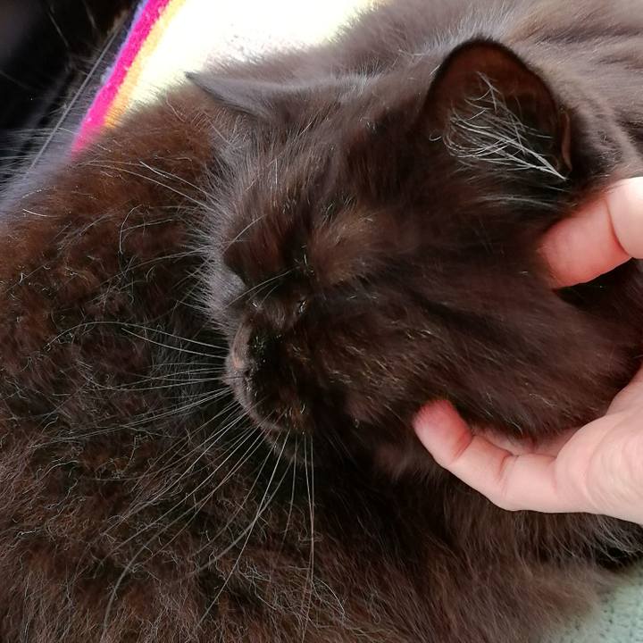 2abe737b b2b4 416e a6be 07a3b051a77f 1541836069158