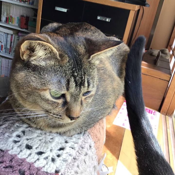 2abe8a67 04d8 42c6 b7a9 26850d08fea0 1653187822146