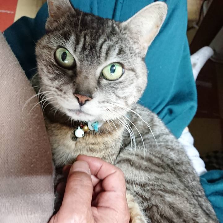 2abeaa93 1d94 4988 838d 762b05d03b35 1555803884456