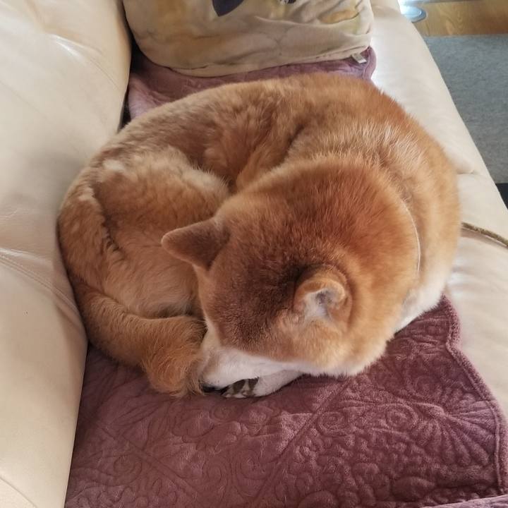 2abf13e5 deb1 4047 93ff c2983966900d 1701905494703