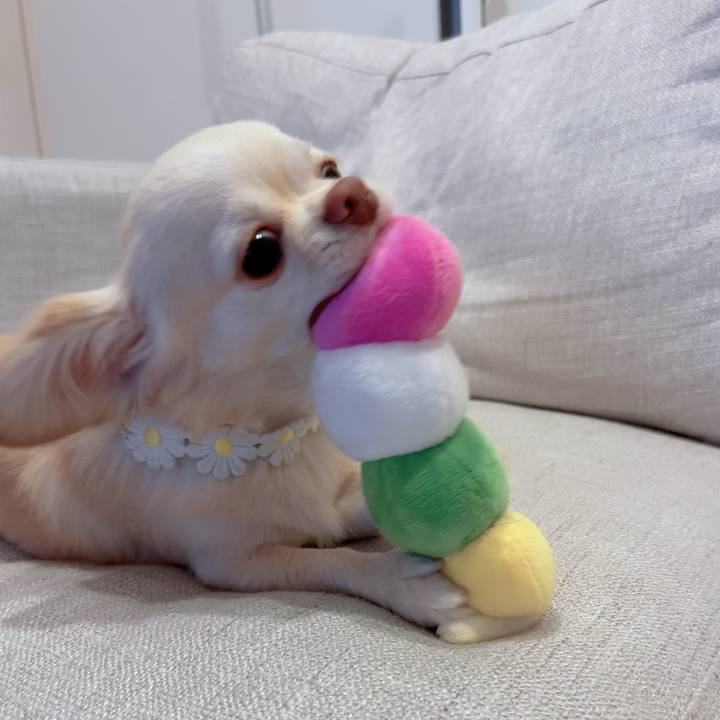 2abf384b 51e7 449a bde0 f01b0446a843 1690119106749