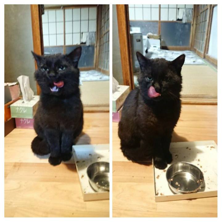 2abf3c12 36fe 4764 b951 d4684895753b 1621953071007