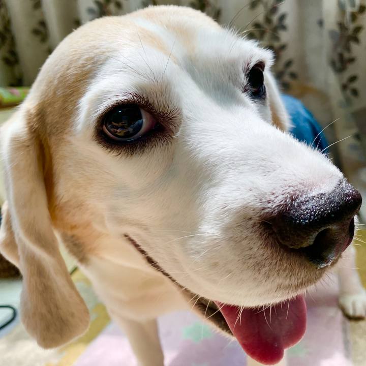 2abf70a0 30a7 4630 a731 ab386570f181 1628134885697