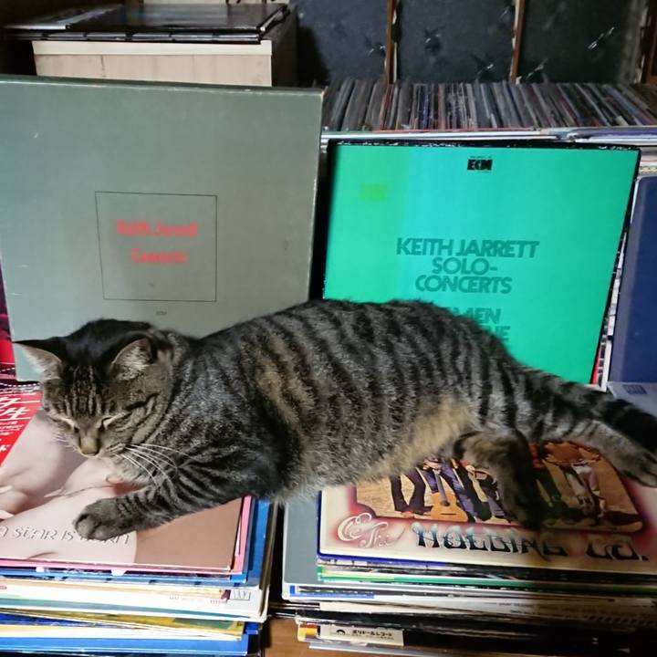 2ac03855 db8a 4e4d 8b53 1f1f0823e010 1662727044492