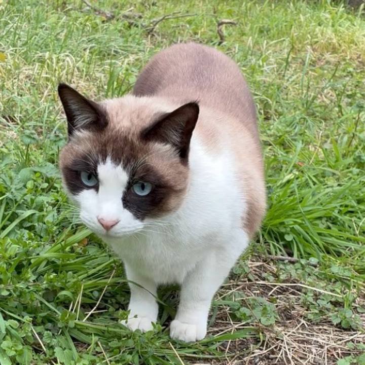 2ac04538 c639 4b1c 886c 1e383d8cbe01 1767792271646