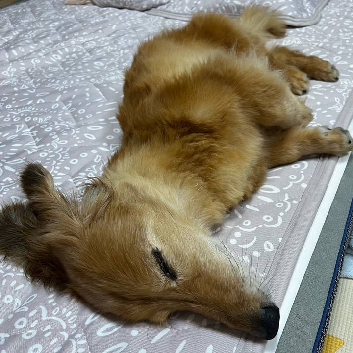 2ac08193 707a 4410 b28a aa750c077a07 1662645642479