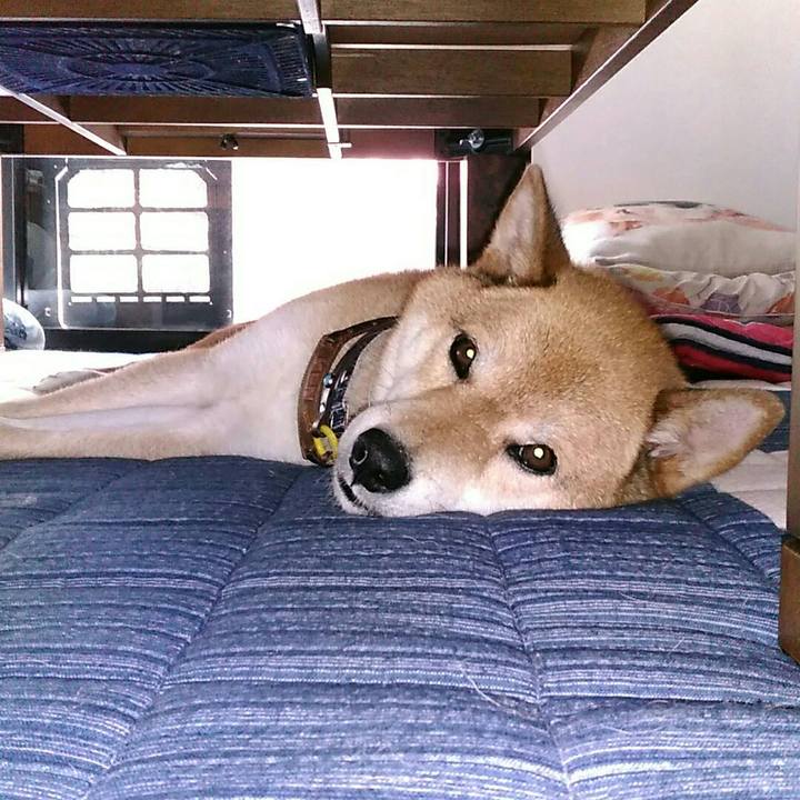 2ac08460 24ca 406e afa3 bb97d33df605 1564459170910